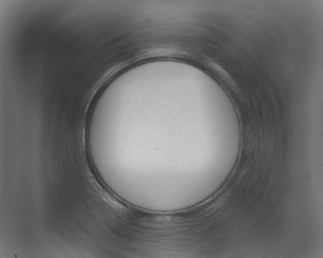 X0000073531322200607311005