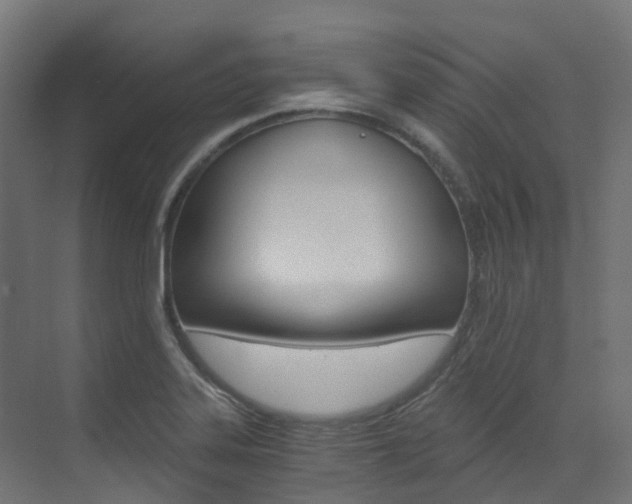 X0000073531323200607311005