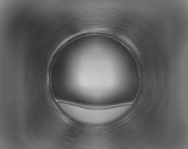 X0000073531324200607311005