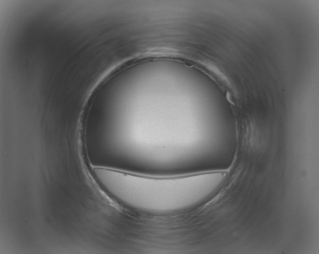 X0000073531325200607311005