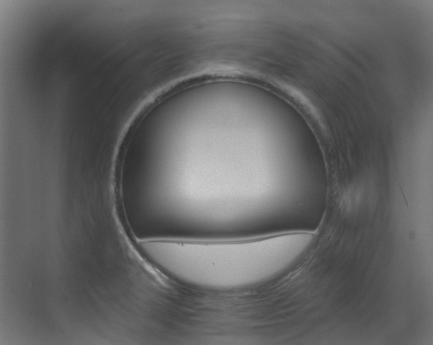 X0000073531327200607311005