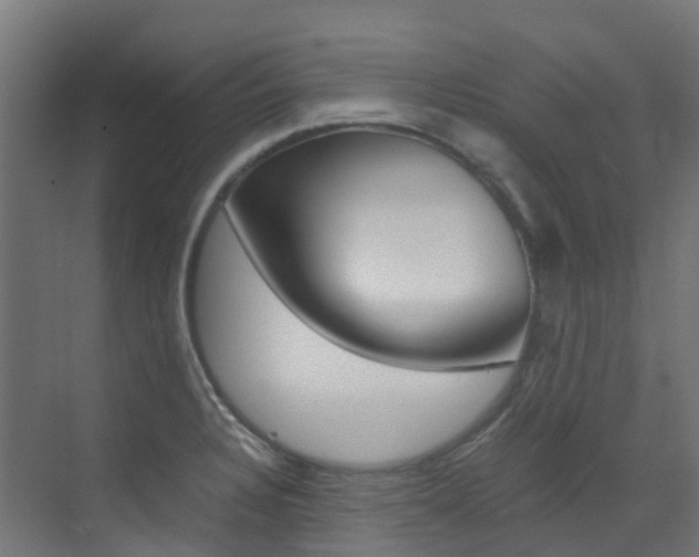 X0000073531328200607311005