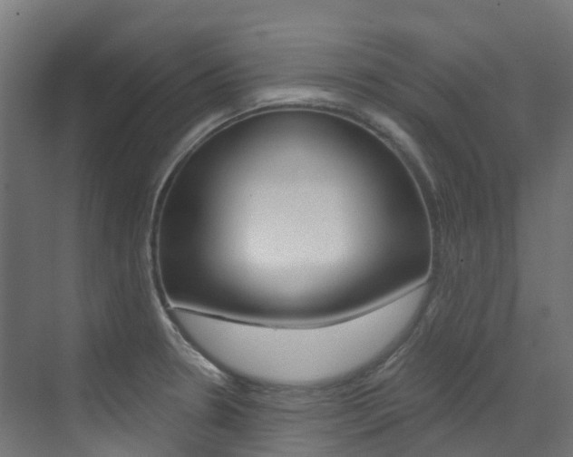 X0000073531330200607311005