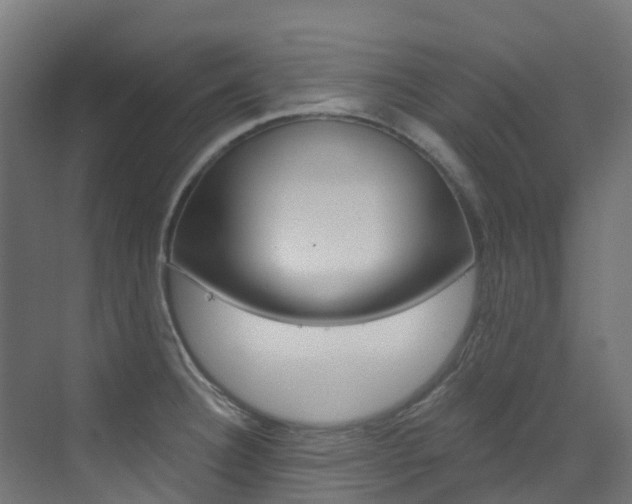 X0000073531332200607311005