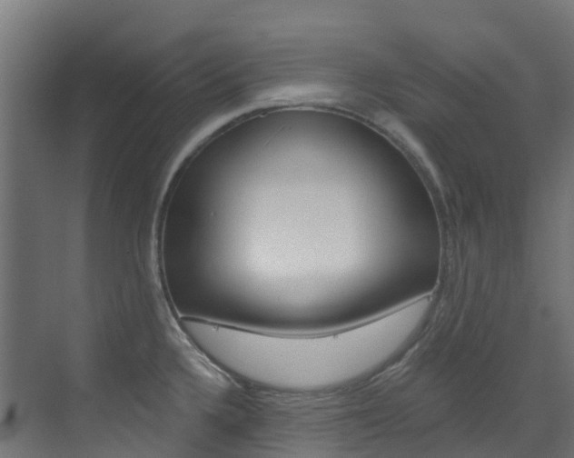 X0000073531336200607311005