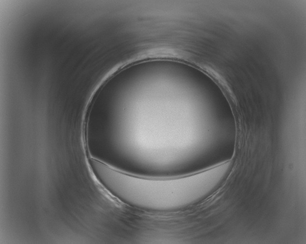 X0000073531342200607311006