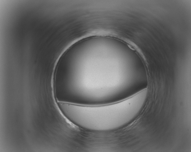 X0000073531343200607311006