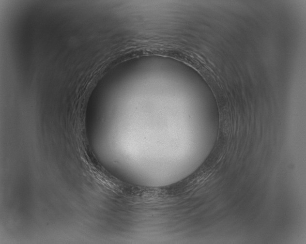 X0000073531345200607311005