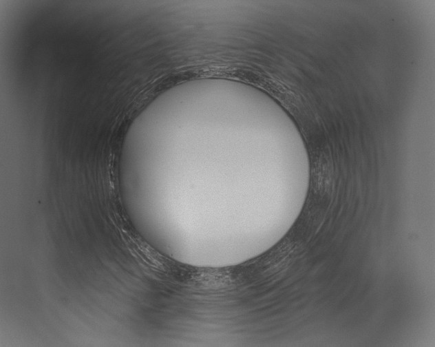 X0000073531346200607311005