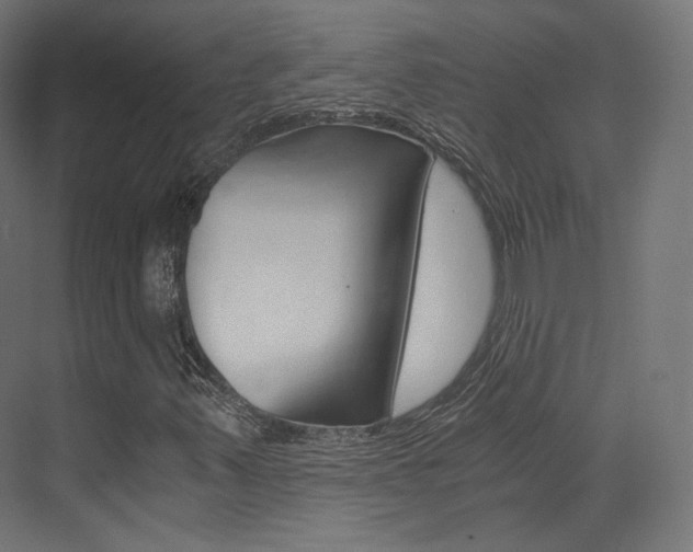 X0000073531347200607311005