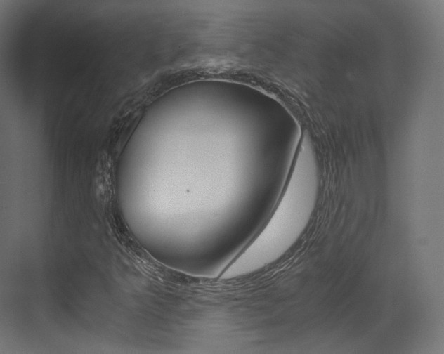 X0000073531349200607311005