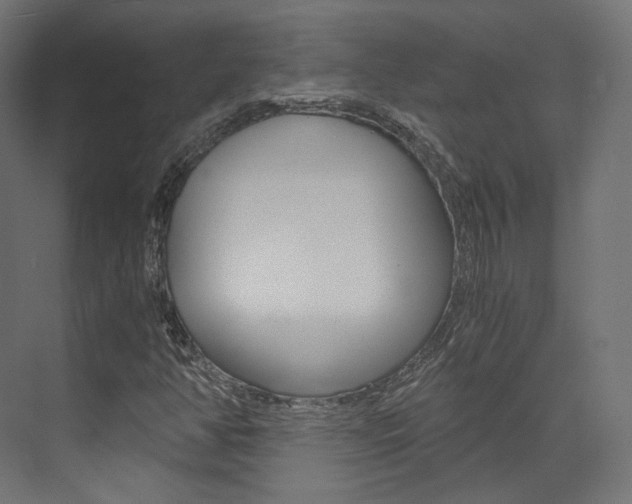 X0000073531350200607311005