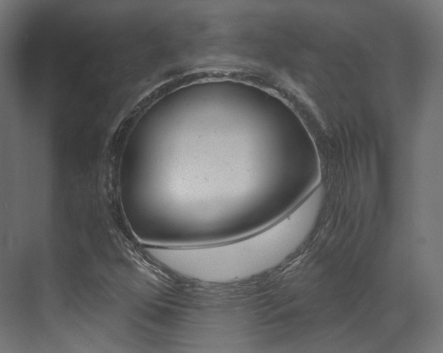 X0000073531352200607311005