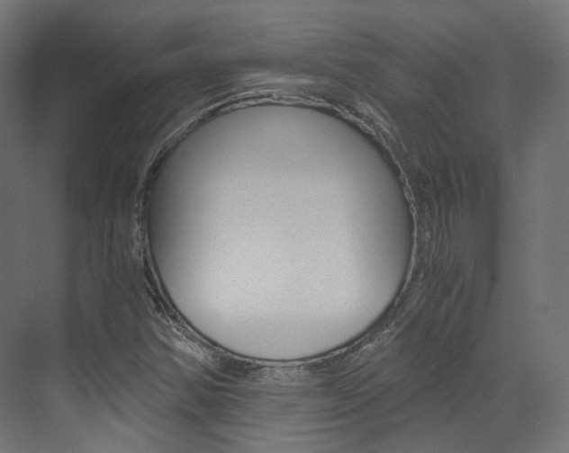 X0000073531354200607311005