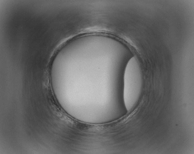 X0000073531358200607311005
