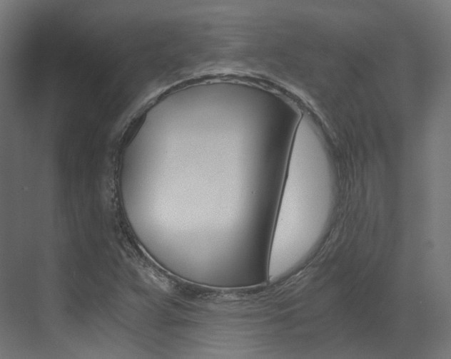 X0000073531359200607311005