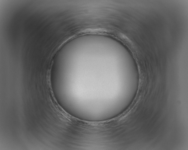 X0000073531361200607311004