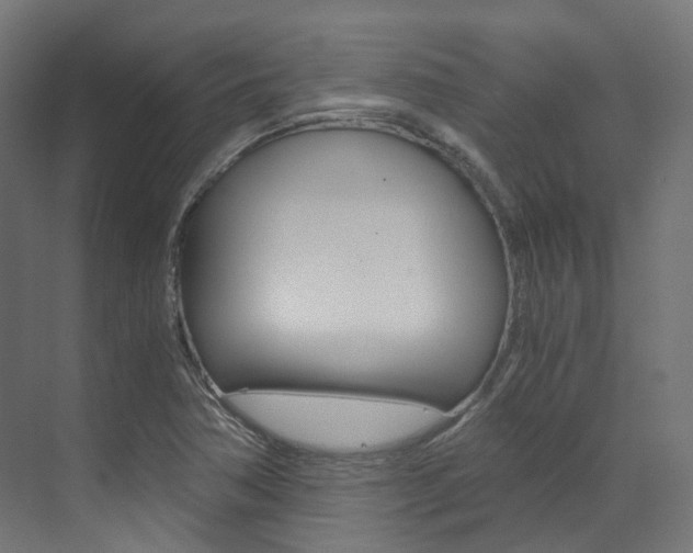 X0000073531362200607311004