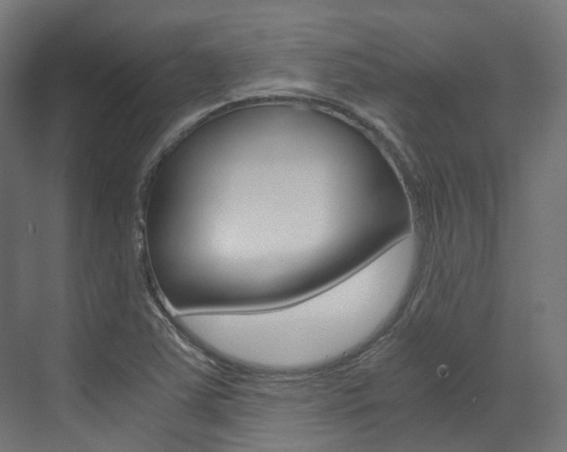 X0000073531363200607311004