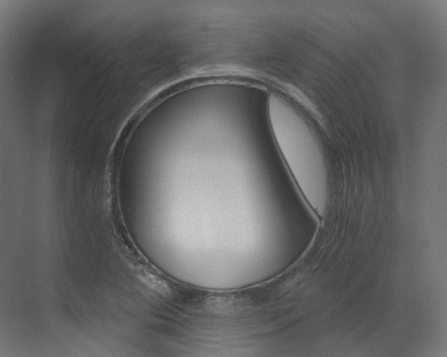 X0000073531364200607311004