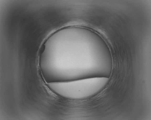 X0000073531366200607311004