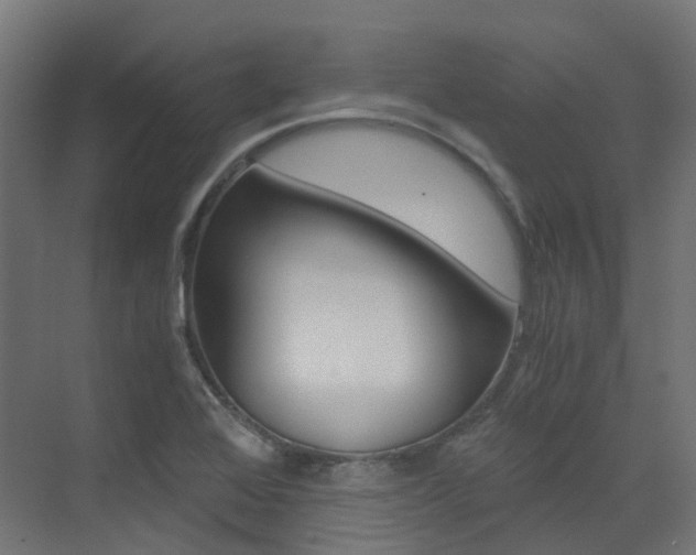 X0000073531368200607311004