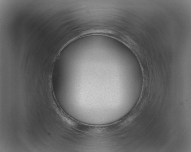 X0000073531369200607311004