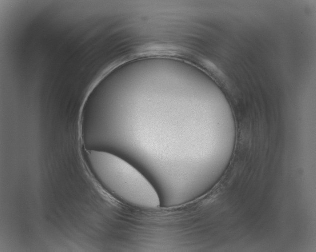 X0000073531370200607311004
