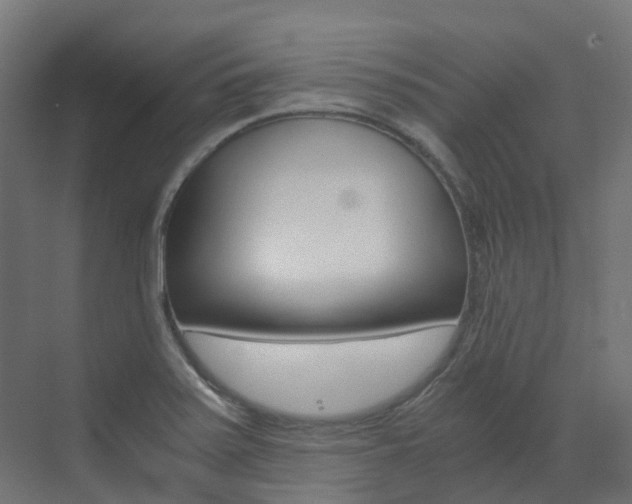 X0000073531371200607311004