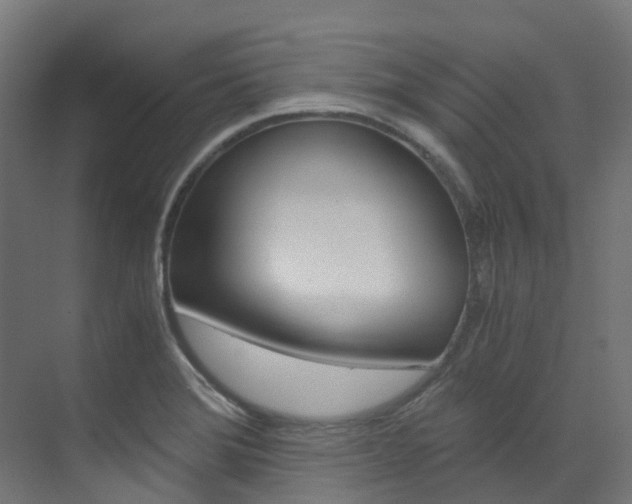 X0000073531372200607311004