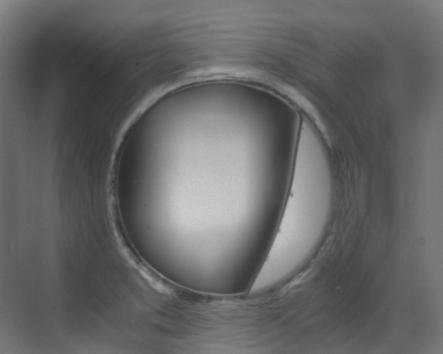 X0000073531373200607311004