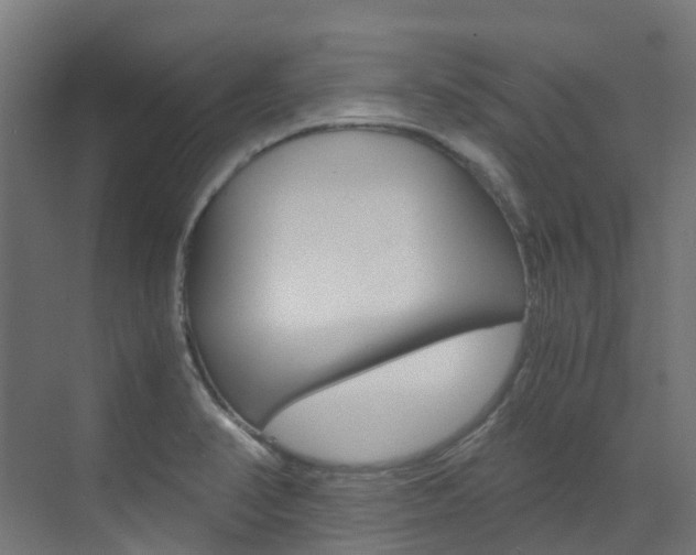 X0000073531374200607311004