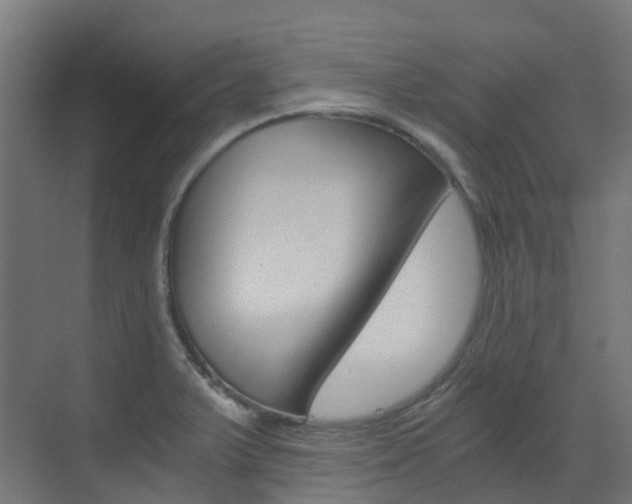 X0000073531375200607311004