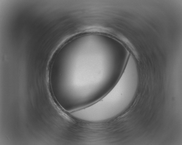 X0000073531376200607311004