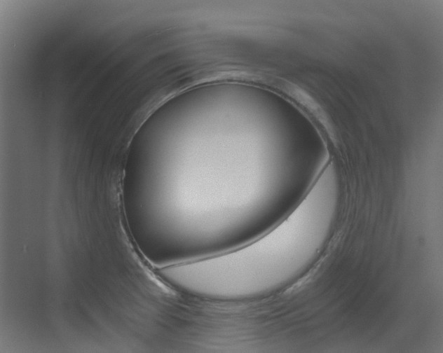 X0000073531377200607311004