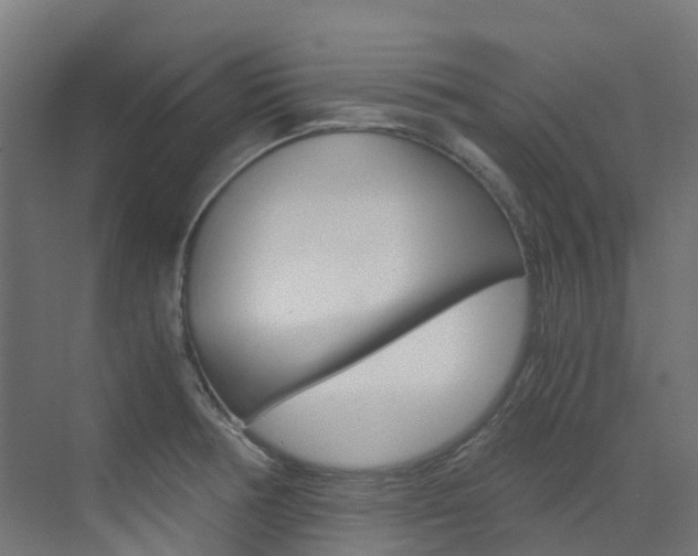 X0000073531378200607311004