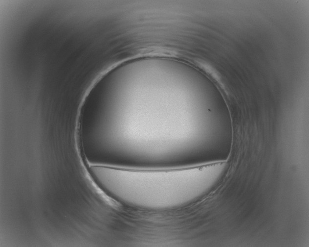 X0000073531379200607311004