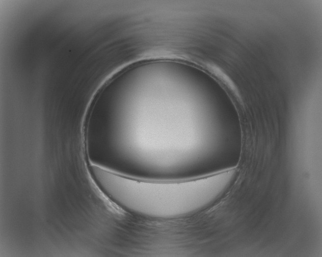 X0000073531380200607311004