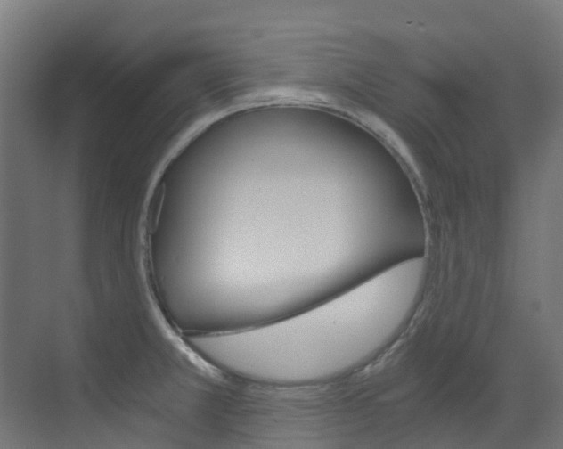 X0000073531381200607311004