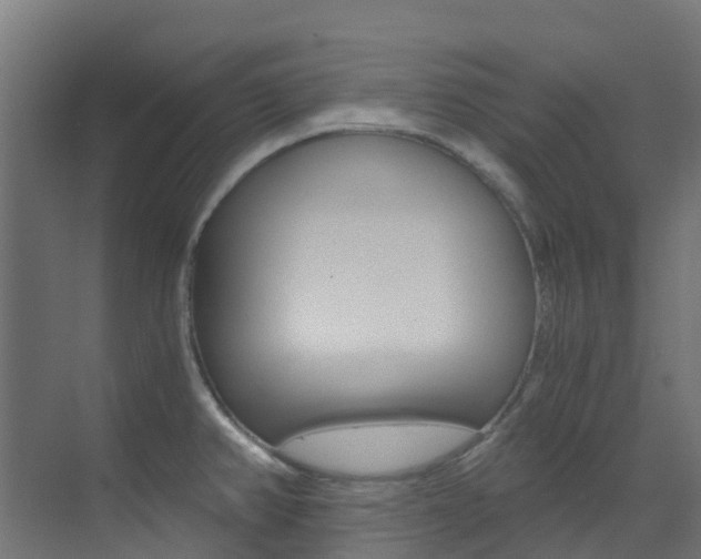 X0000073531382200607311004