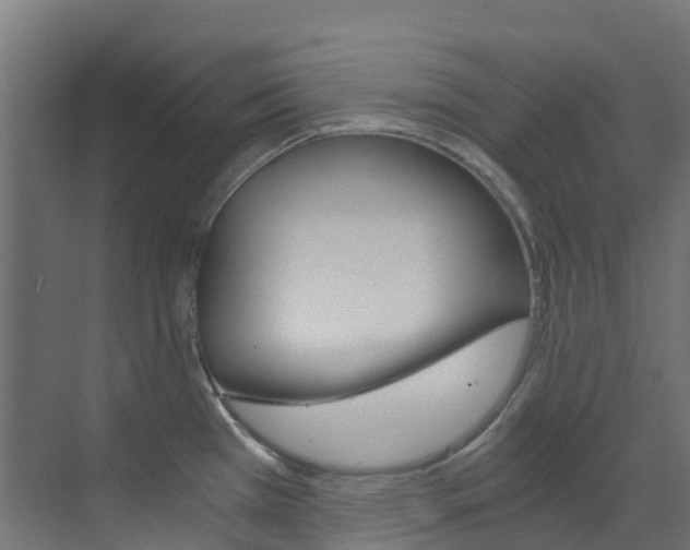 X0000073531385200607311004