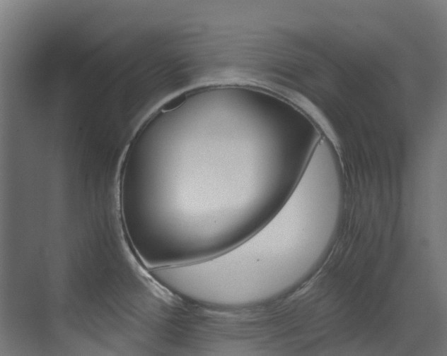 X0000073531388200607311004