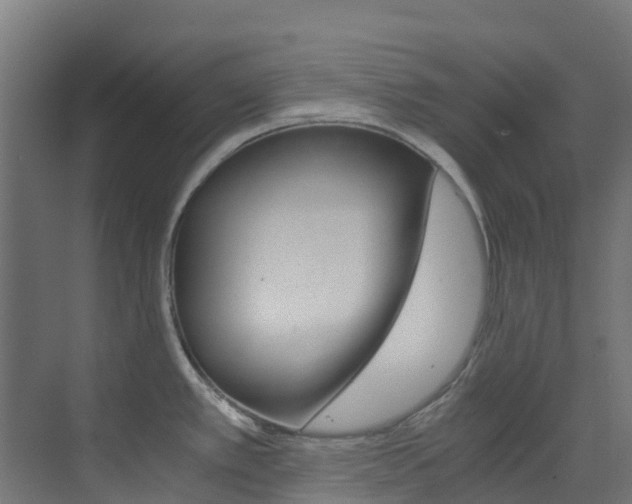 X0000073531389200607311004