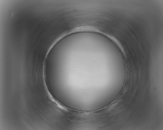 X0000073531390200607311004