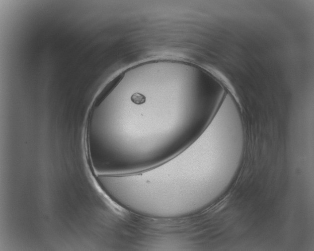 X0000073531391200607311004