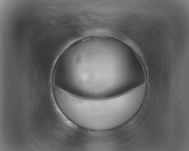 X0000073531392200607311004