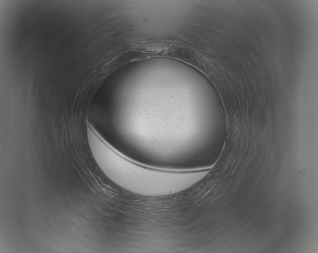 X0000073531394200607311003