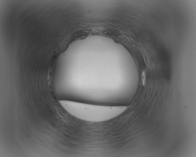 X0000073531395200607311003
