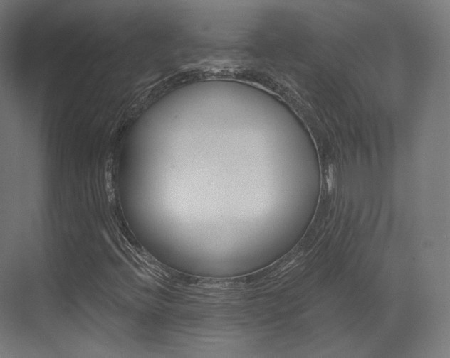 X0000073531396200607311003