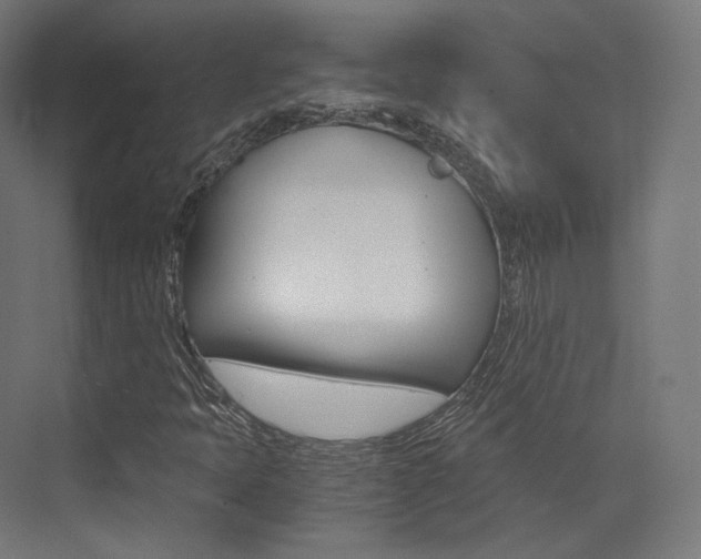 X0000073531397200607311003